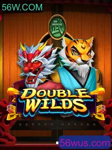 Explorando o Fascinante Mundo de DoubleWilds: Regras e Estratégias para 2023